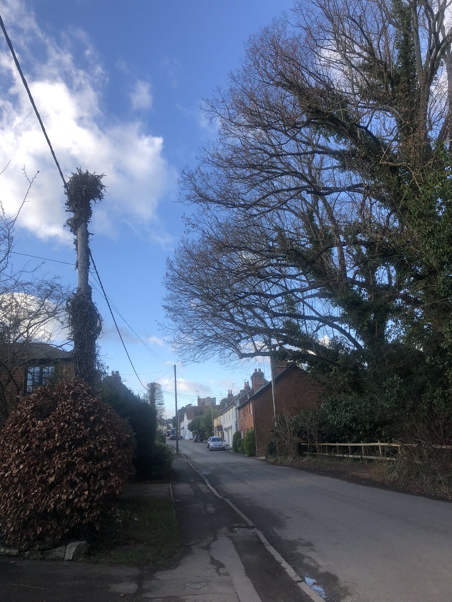 21Artists's tweet photo. Spent the day yesterday in Broughton Village Hall, #Hampshire discussing our Test Valley Arts Foundation report on issues and cultural representation for ethnic minority communities in TV. Thanks to Council leader @CllrPhilNorth for the productive and proactive conversation 🙌🏼 https://t.co/y5ECirs5Cu