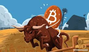 _Arizonadreamer's tweet photo. Go, #cryptocurrencies go! Adore my set: $atom $SOL $FTT $ETH $DOT! https://t.co/OzkjuXjfgk