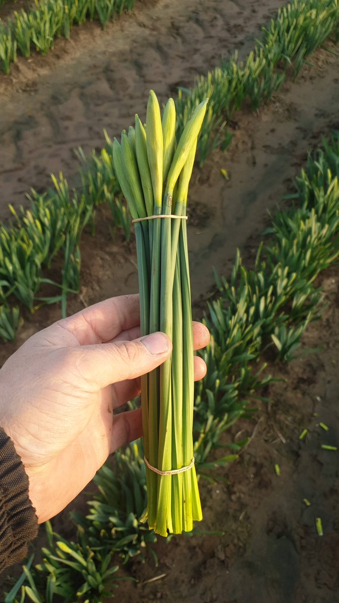 Mark Eves tweet media