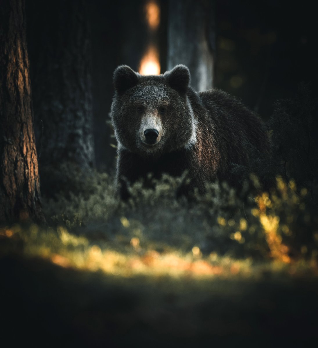 Last Light Of Sun ✨ 
opensea.io/collection/sou…