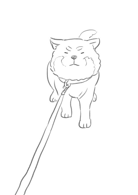 間違えてしば犬の「いやいや」のラフをたくさん描いてしまったので見てください。 