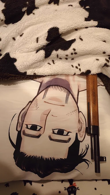 抱きまくらが来た日の興奮、これぐらい許されるはずだ 