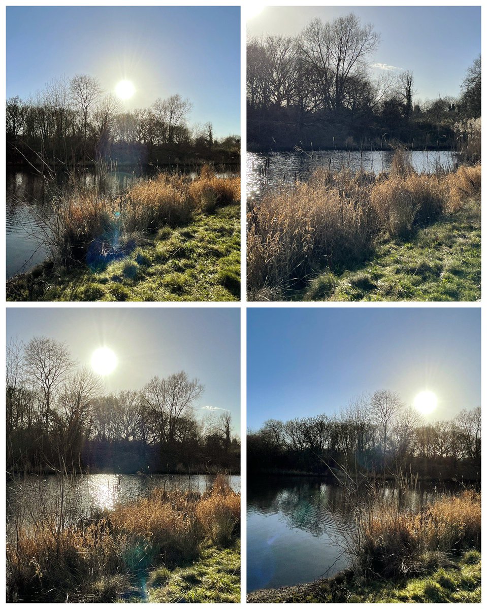 Jan 🌷🌿🦋 tweet media