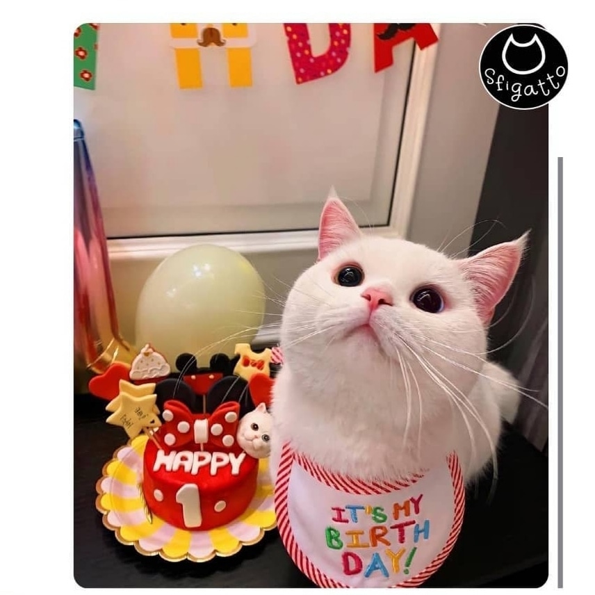 cetty80tina's tweet photo. Oggi sono una doppia #20enne con #2anni d'esperienza😉!!!
Buon compleanno a me!!! 🎉🎉🎉🎉🎉🎂🎂🎂🎂🎂🎂🍟💕 https://t.co/xAHqVuzsrF