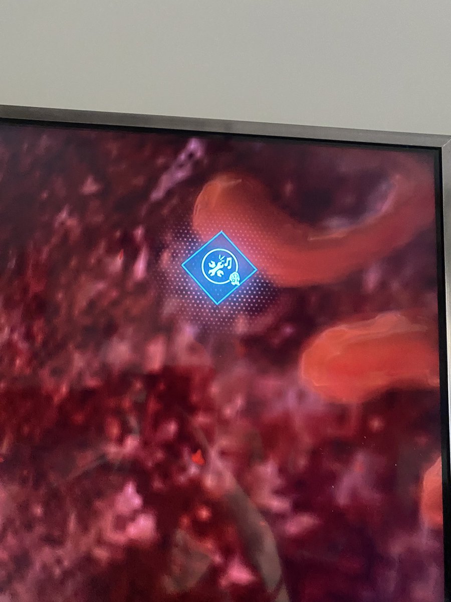 Amiko 🇨🇳 tweet media