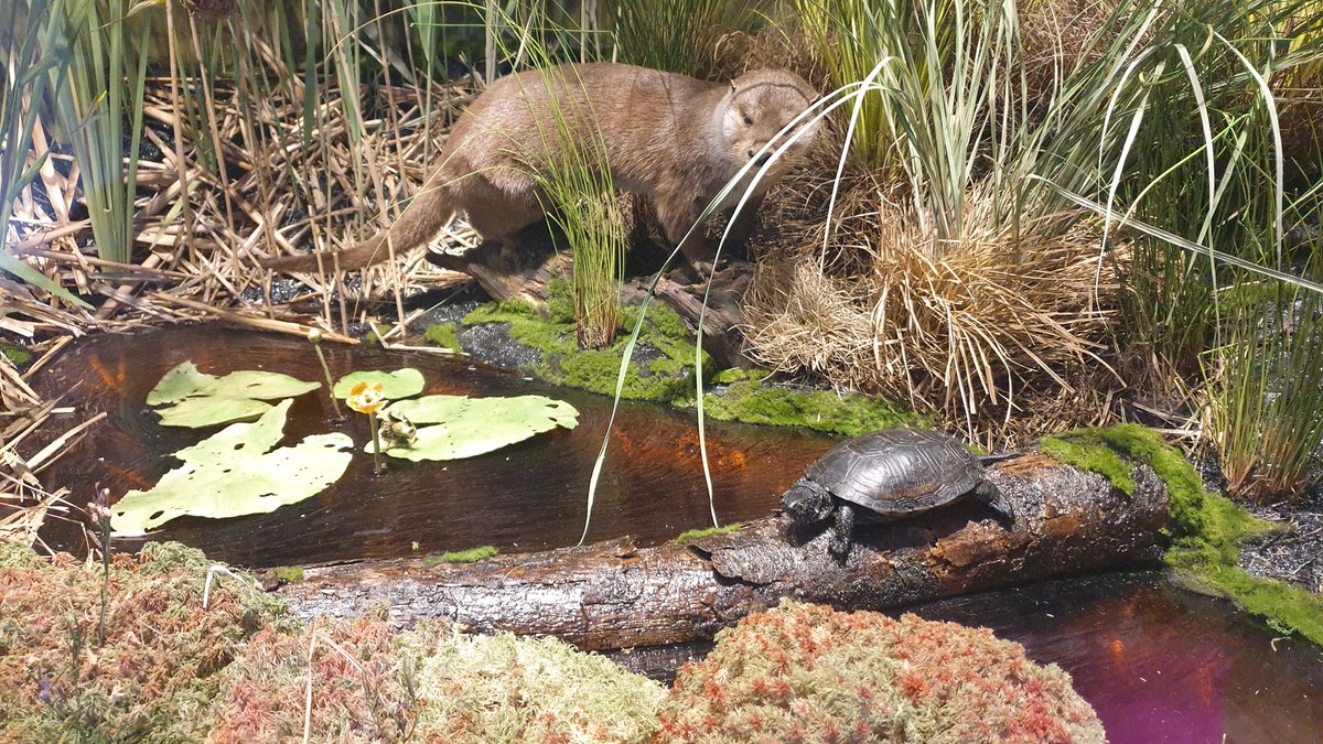 Prost vstop prvo nedeljo v mesecu, 6. 2. 2022 in na kulturni praznik, Prešernov dan, 8. 2. 2022. V torek tudi 20% popust na naše publikacije, starejše od enega leta. Prijazno vabljeni!