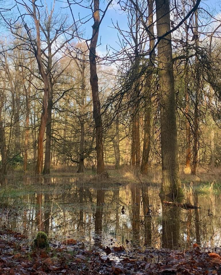 Dank <a href="/FrankeWendy/">Wendy Franke</a> voor de mooie foto’s van het Lonnekermeer. Daar moeten we zuinig op zijn! #noordtak