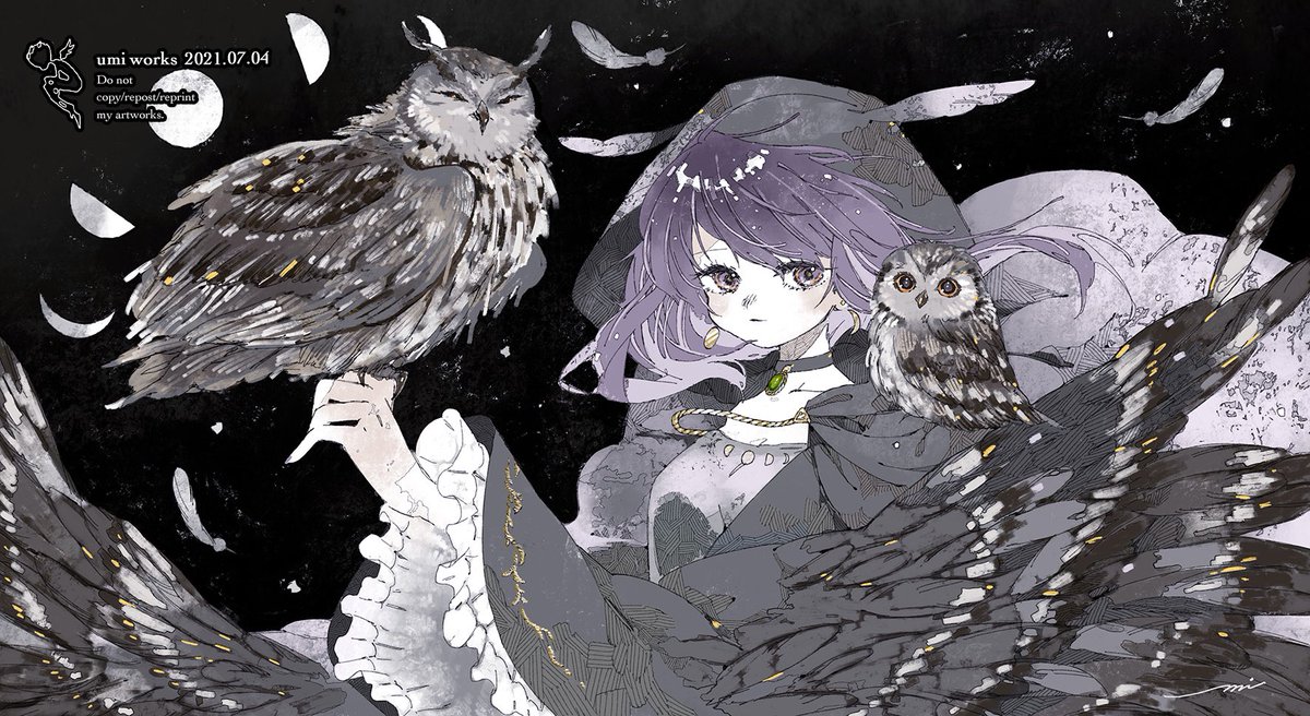 1girl bird jewelry purple hair hood owl feathers  illustration images