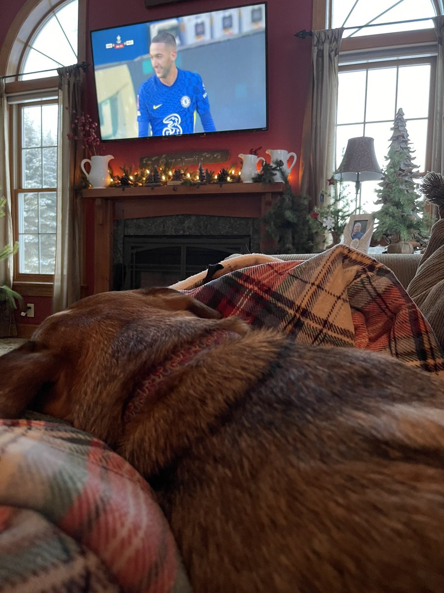 tmedward3's tweet photo. Snuggling on couch with my girl watching @ChelseaFC @ESPNFC https://t.co/RvxmugcEOc
