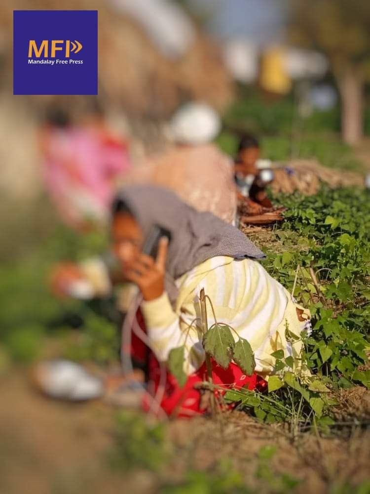 ydkr153's tweet photo. In Sagaing division, about 236 refugees from Myinmu tsp due to the storming of junta troops to Sagaing tsp now require help for basic needs, reportedly.  #CrimesAgainstHumanity #2022Feb5Coup #WhatsHappeningInMyanmar https://t.co/lFirXWfPOW