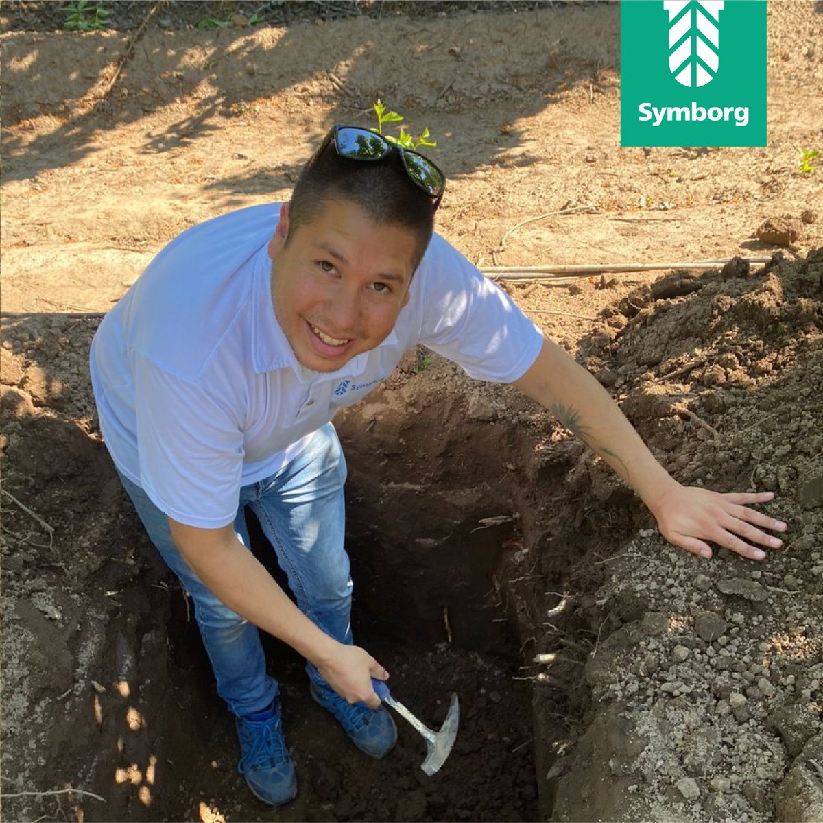 SymborgLATAM's tweet photo. Las visitas en terreno son parte esencial de nuestro trabajo en Symborg, como lo vemos en la imagen. Francisco Velasquez, técnico de Symborg, estuvo comprobando el crecimiento de raíces durante su visita en terreno. ¡Grandes resultados!
#symborg #crecimiento #agricola #terreno https://t.co/NzDTPcSlxh