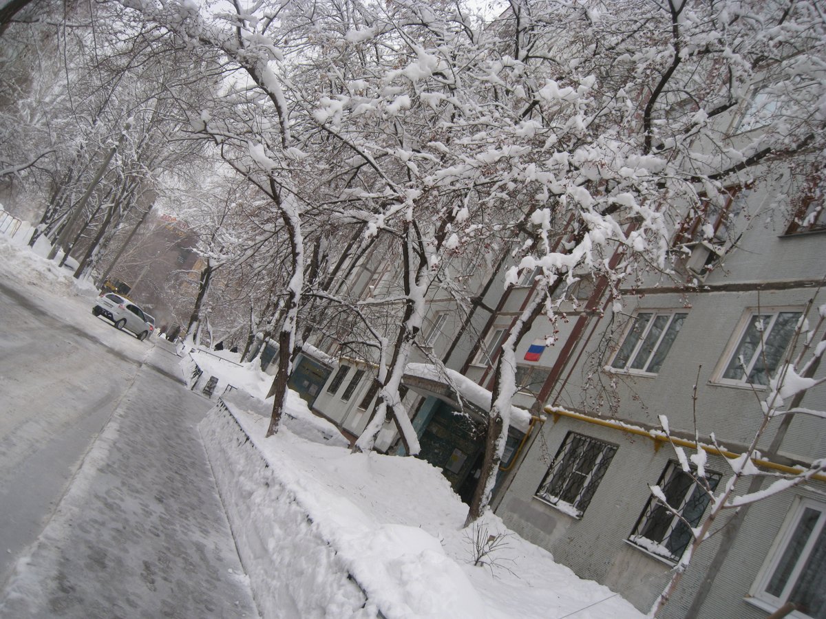 Тамара.Л. tweet media