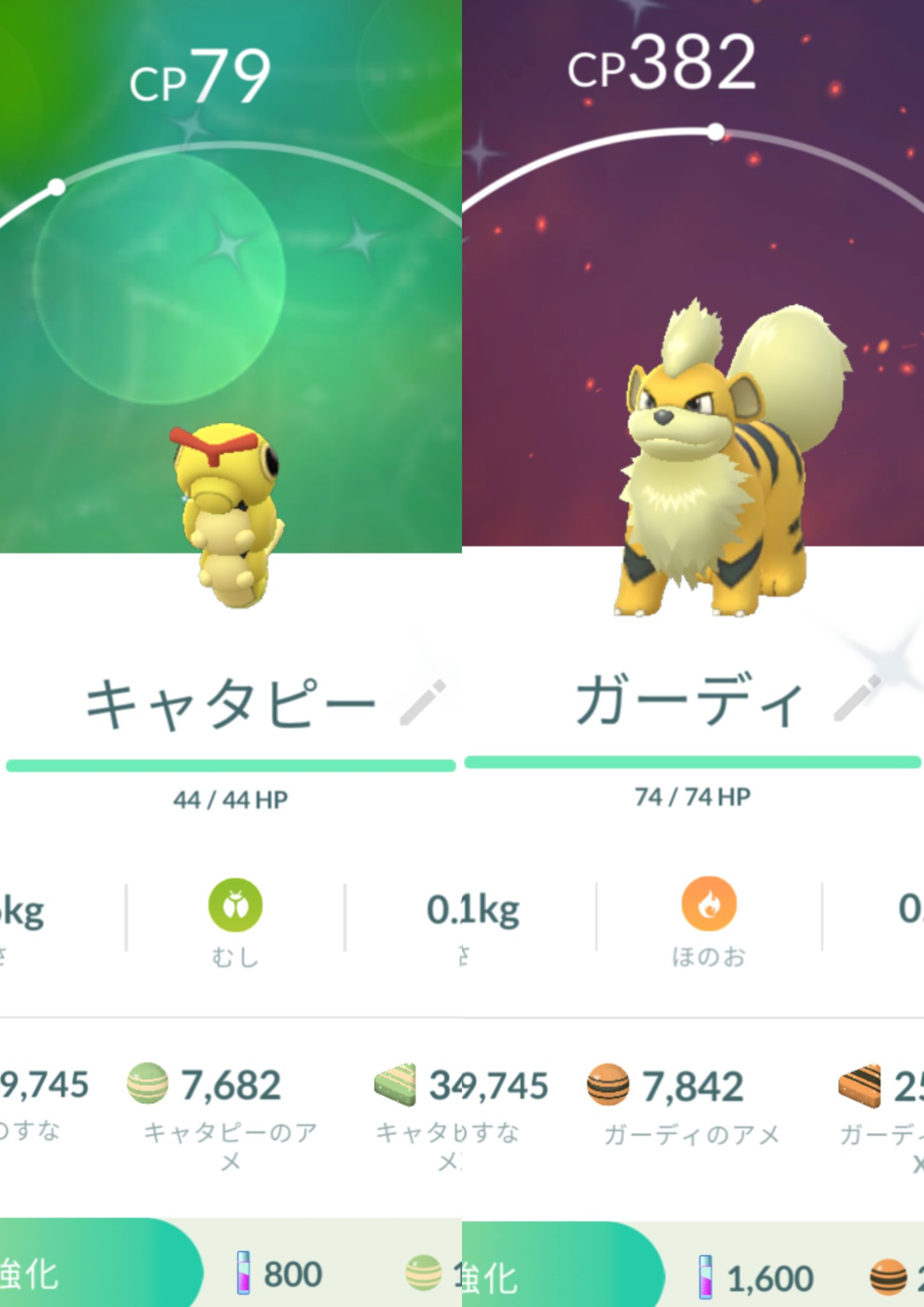 ハマトラ ポケモンgo横浜 Hamatora Poke Twitter