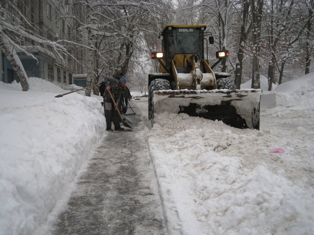 Тамара.Л. tweet media