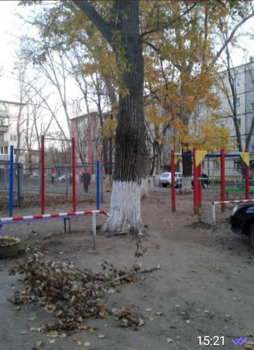 Вопрос к <a href="/AdmZavolgia/">Администрация Заволжского района</a> сколько ещё жителям Сиреневый-5 ждать когда наши дети безопасно смогут гулять на детской площадке? Эти старые хрупкие деревья пора приводить в нормативное состояние((
И зимой и летом они падают нам на головы(((