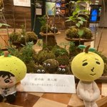 旅人の声のツイート画像