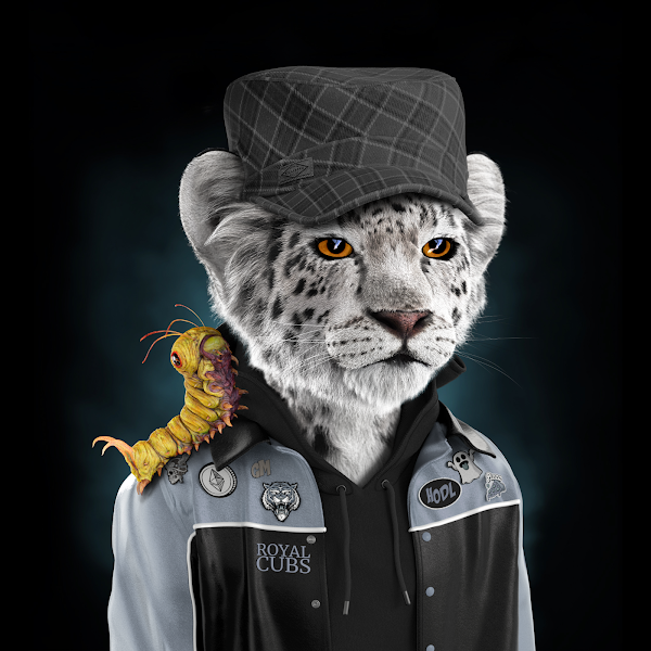 Yasin Elshamy tweet media