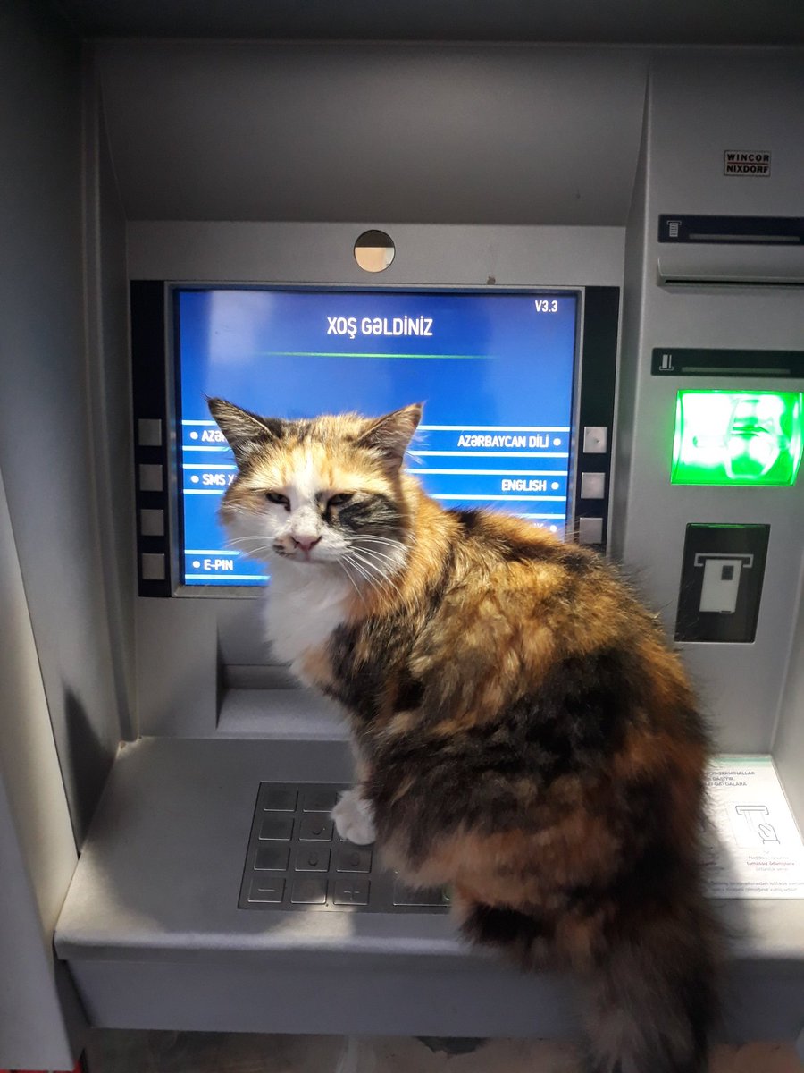 Qaqa borca 10 Azn verə bilərsən?