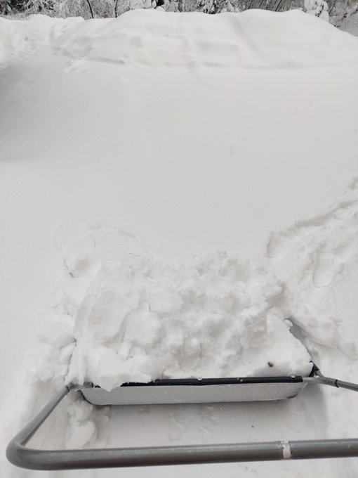 今年は大雪で雪かきの毎日 モイモイ フィンランド便り