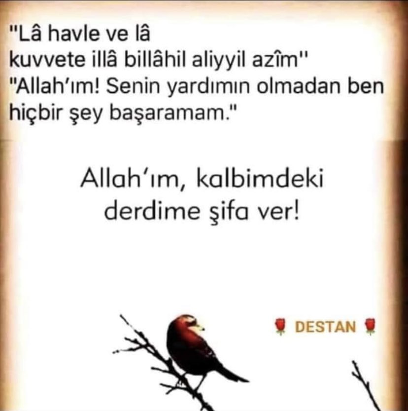 Haşim tekmenüray (@haim32204740) on Twitter photo 