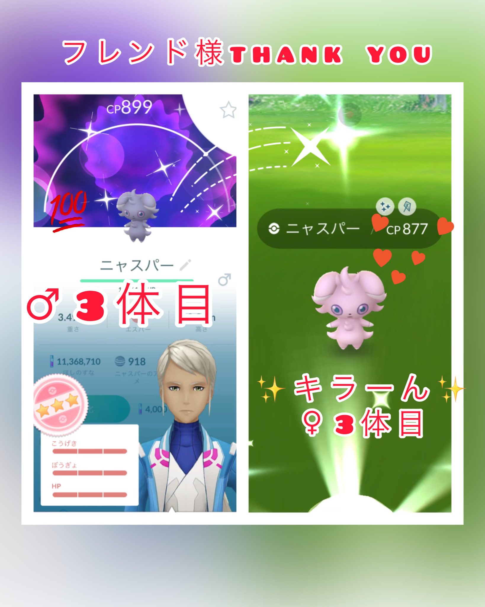 ニャスパー色違い Twitter Search Twitter