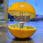 きれいに剥いた八朔の皮にしっくりきたもの…マツケンのキーホルダーw