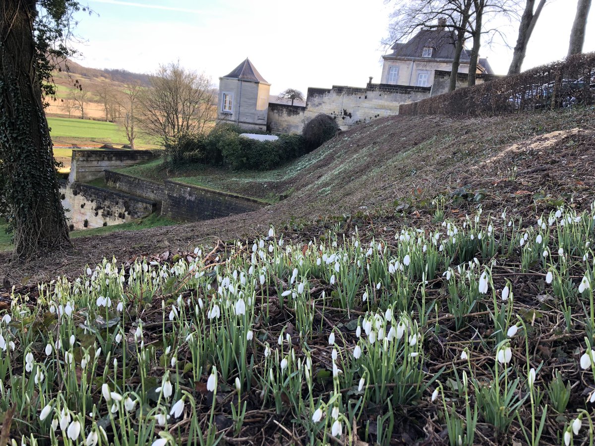 COostwegel's tweet photo. Rondje #joggen #Jekerdal @Rest_Neercanne #Motte #ENCI #sneeuwklokjes #stinzeplanten https://t.co/MIsmWfLX1b