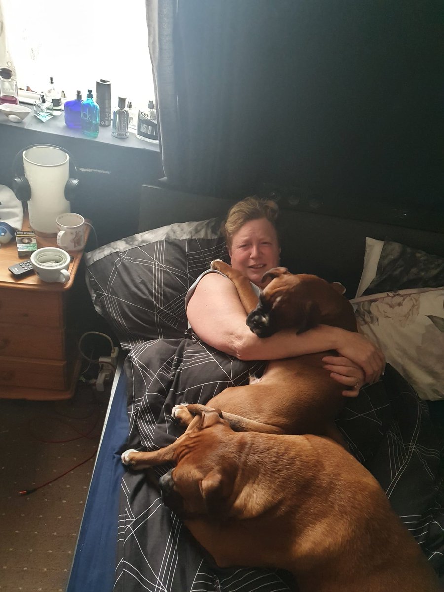 VickyPi58840741's tweet image. Morning cuddles!! 😍