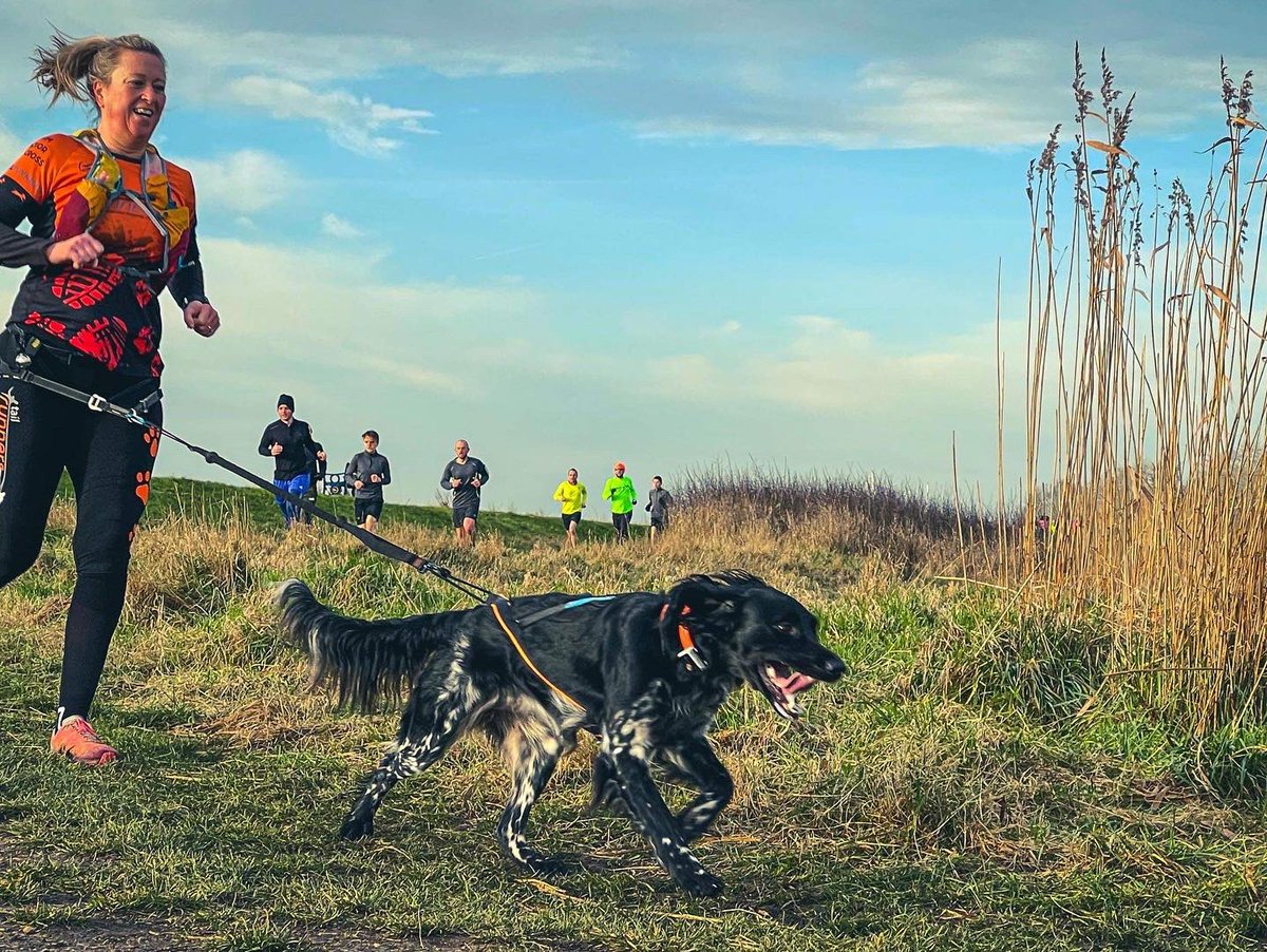 #venom #VenomLetThereBeCarnage #teamtailrunners #dogsoftwitter #lovetrails