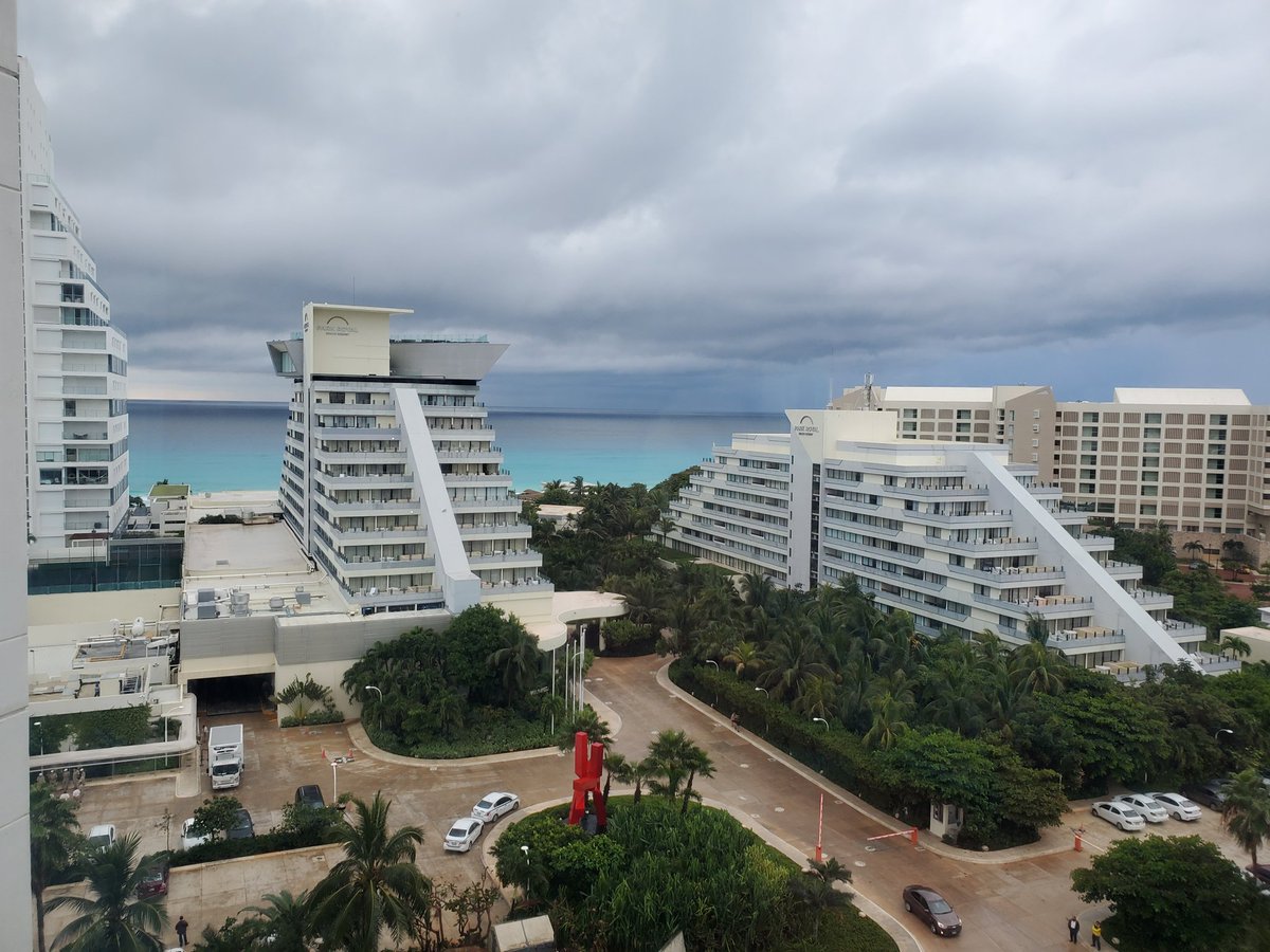 BombshellCrypto's tweet image. So happy to be home #theresnoplacikehome