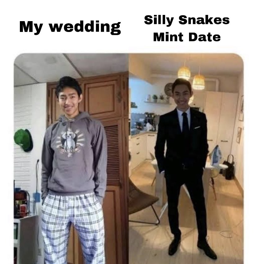 Silly Snakes 🐍 tweet media