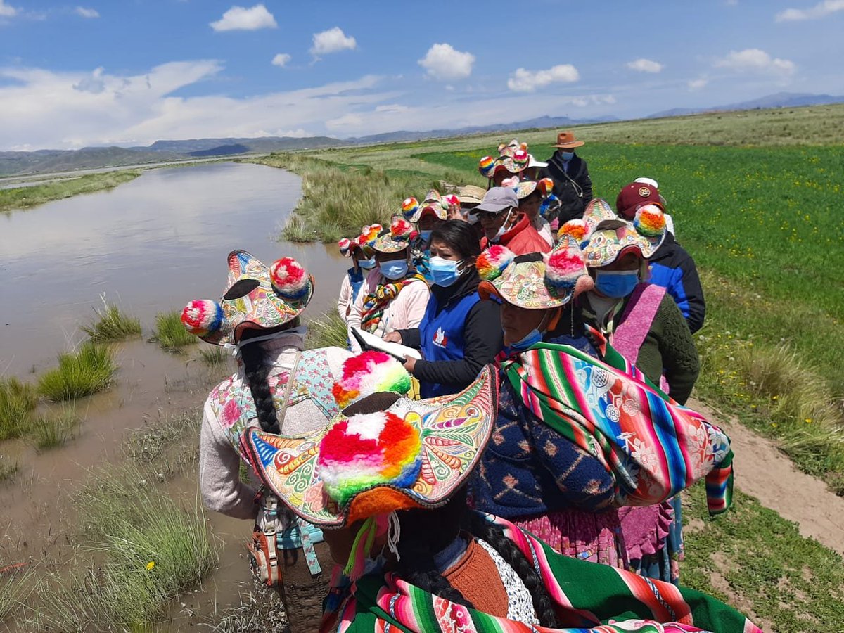 Defensoria_Peru's tweet photo. #Puno Atendimos quejas de mujeres quechuas de comunidad Llachahui en el distrito de Coata, provincia de Puno, quienes piden al Estado apoyo con Seguro Agrario Catastrófico al haber perdido sus cultivos tras precipitaciones pluviales intensas que provocó desborde del río Coata. https://t.co/ohx5LeJ3Gv