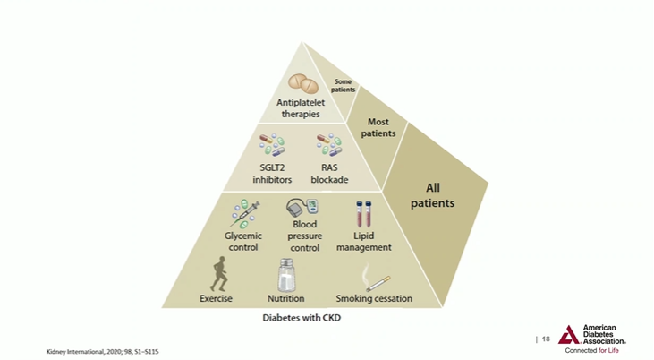 New model shows, Lifestyle factors are the cornerstone of treatment but what made this study different is that in addition to RAS Blockades, SGLT2 inhibitors should be added to the standard treatment for patients with type 2 diabetes. #T2D #CUC22.