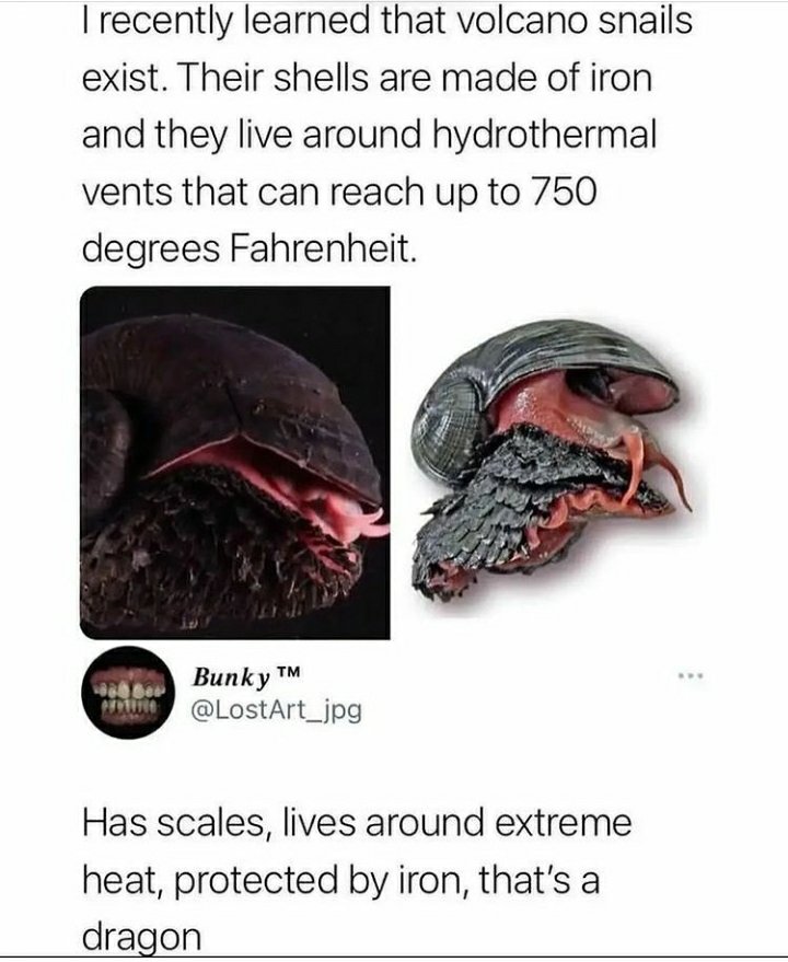 Horror Made (@horror_made) on Twitter photo 