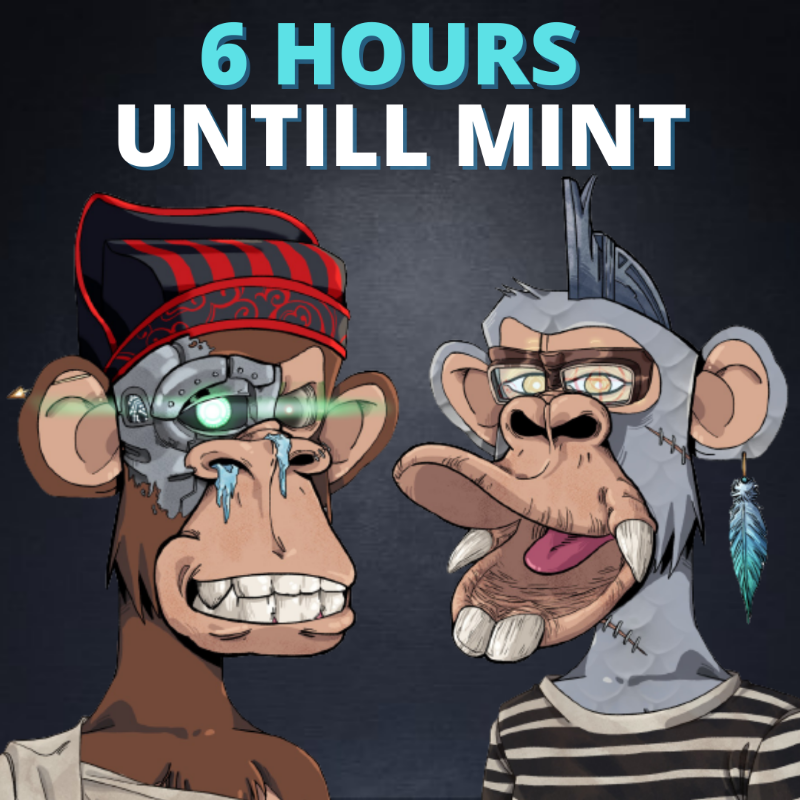 EvolutionApes's tweet photo. ONLY 6 hours untill the MINT!🚀

Let us know in the comments if you are excited!🙉🦾
