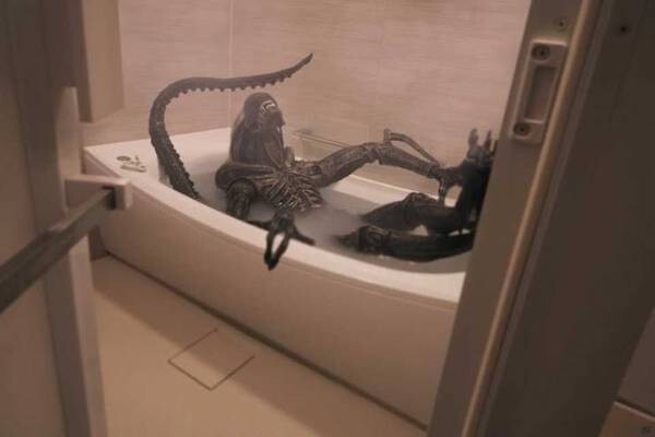 Xenomorphing426's tweet photo. Happy Saturday! https://t.co/Op78gRoQNB