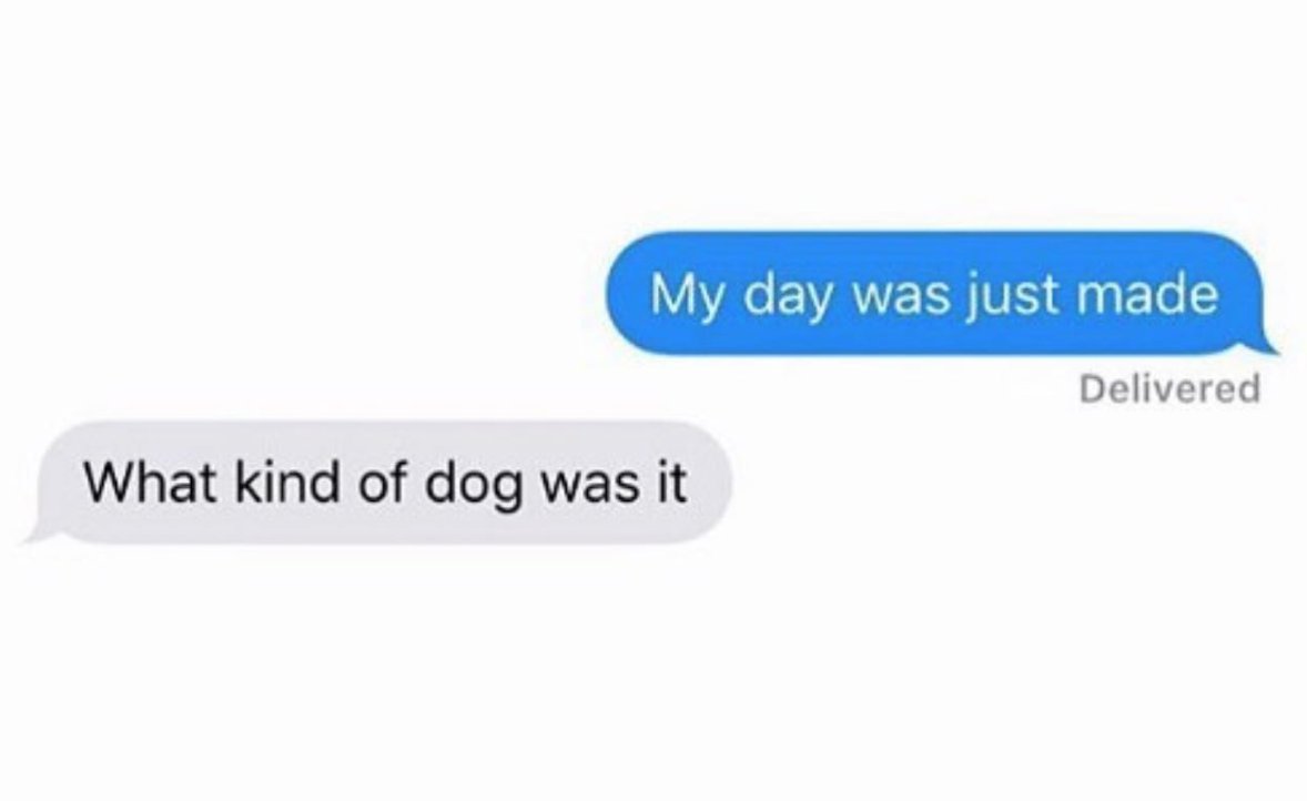 Women's Humor tweet media