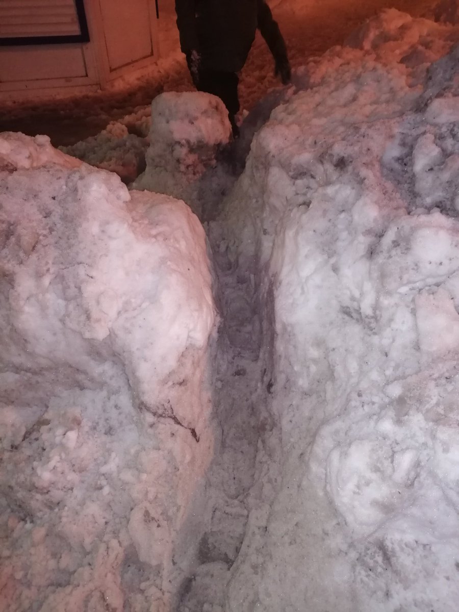 Щепкова Мария tweet media