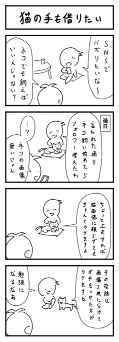 猫の4コマ #1h4d 