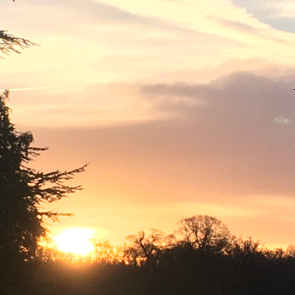 srjudithl's tweet photo. #sunrise #wintermorning #morninglight #wintersun  #wintersun #dawn #newday #sunrise #myskies #winterskies I love the light of those sunny, cold winter mornings. https://t.co/i3rLRUjR9S