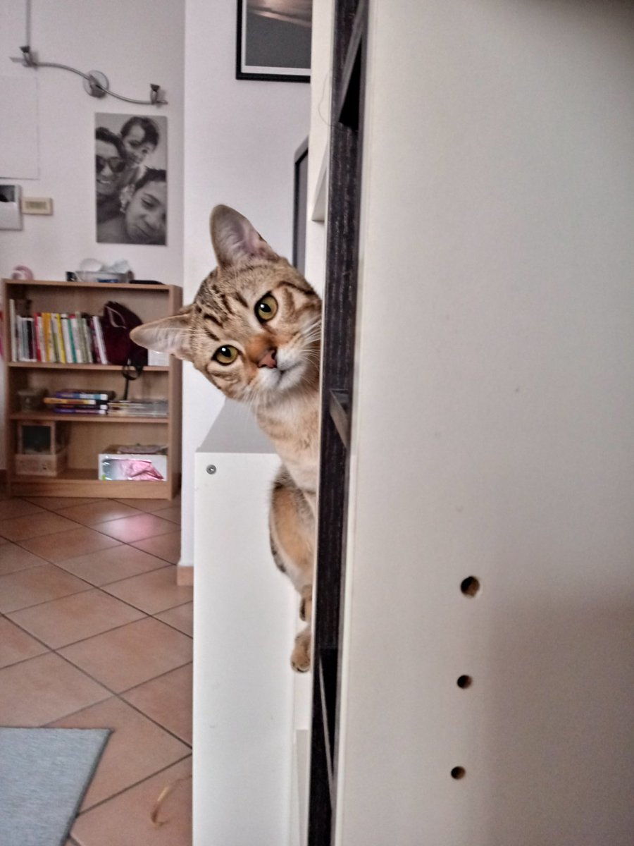 UrsoVale83's tweet image. E ancora da una Billy, uno #Spassky