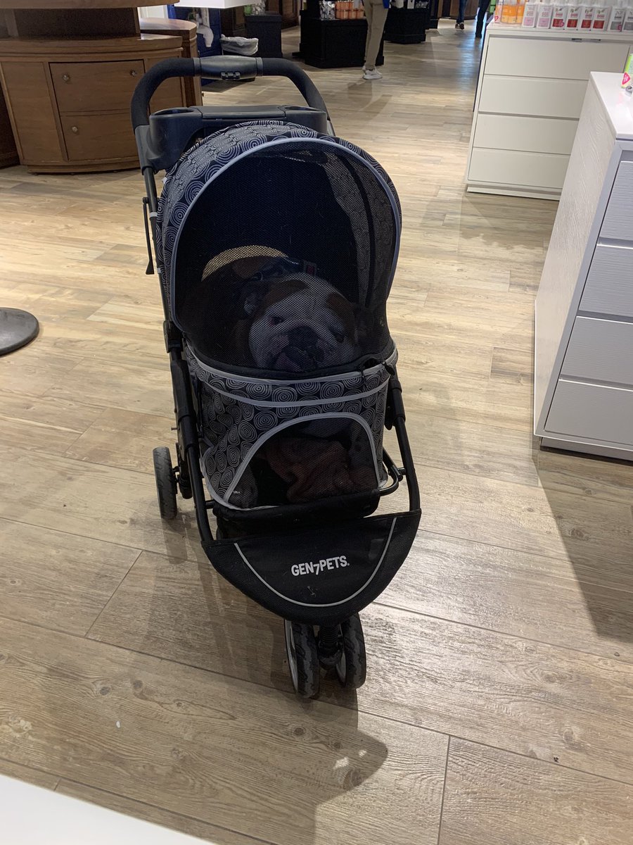 karamunn8's tweet photo. everyone look at this customer that came in today https://t.co/nxm875sdoK