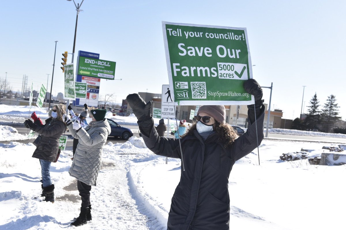 Graham Paine tweet media