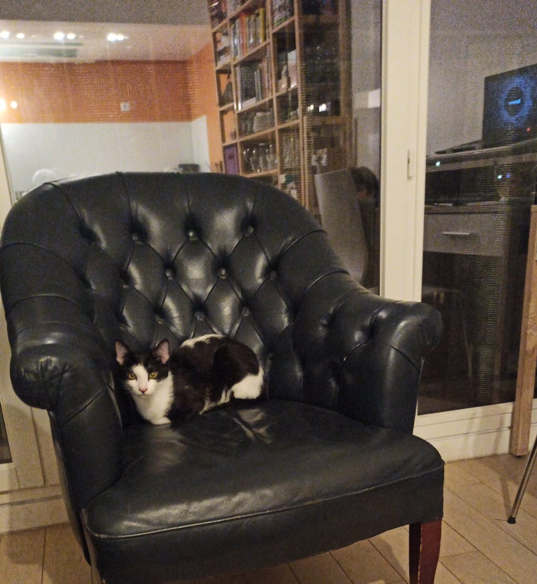 BoubaCie's tweet photo. Sanji est bien installé chez ses #adoptants , Jérémy et sa compagne à #Paris13
#adopterpasachetee https://t.co/hm1Rw7ZvGa