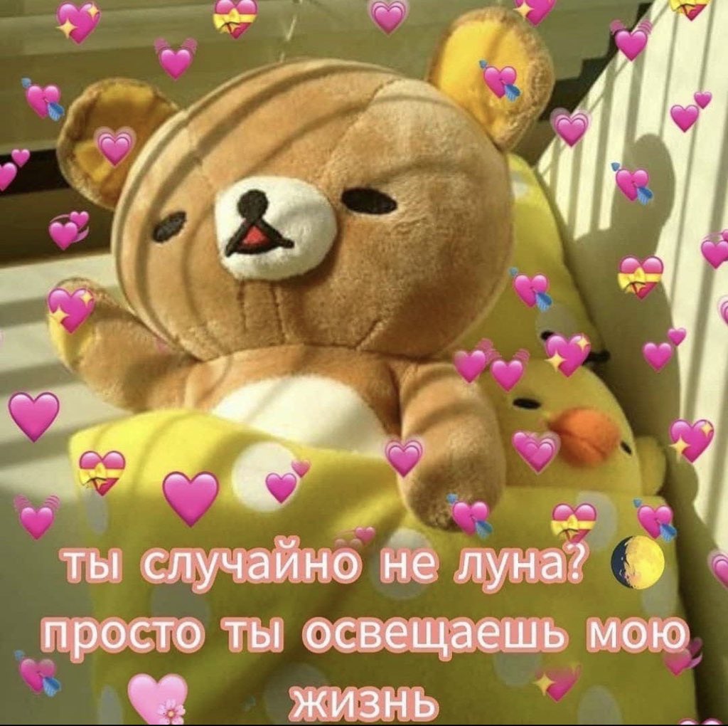 __caxapok's tweet photo. @sherya_nya всё, я растаяла от такой милоты🥺 какое солнышко, это безумно мило, прям ааааааааааааааа https://t.co/4wwMKQCE6x