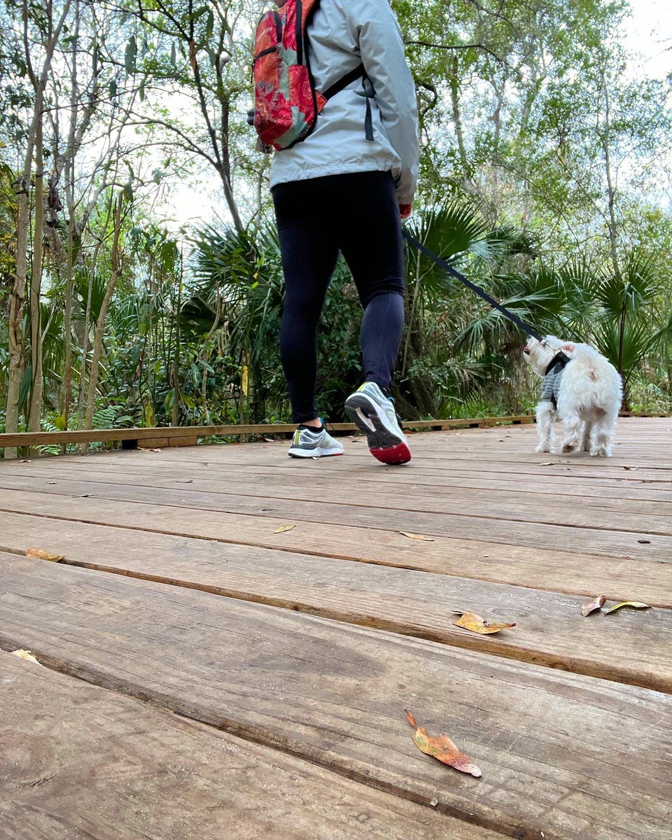 ka_flood's tweet photo. 🐶♥️🌴 https://t.co/WqxPqcuom9