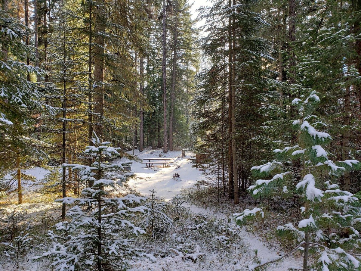 Forest Service NW tweet media