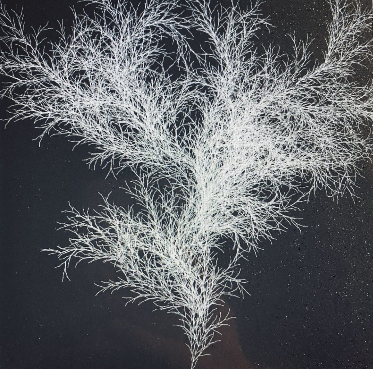 creatorbox tweet media