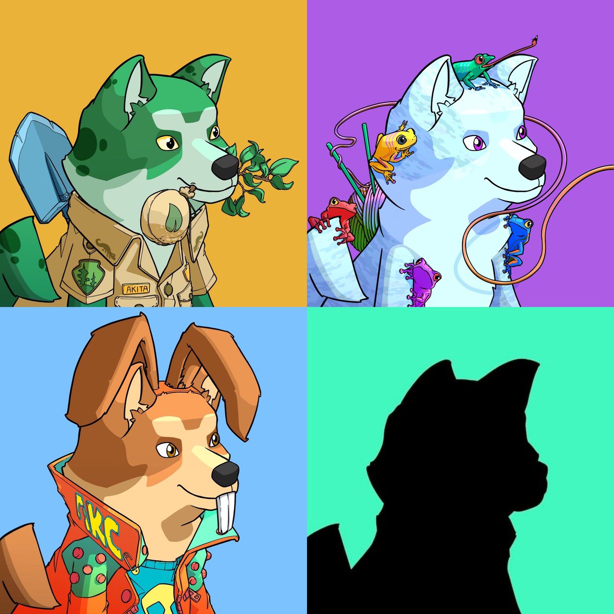 akita.algo tweet media