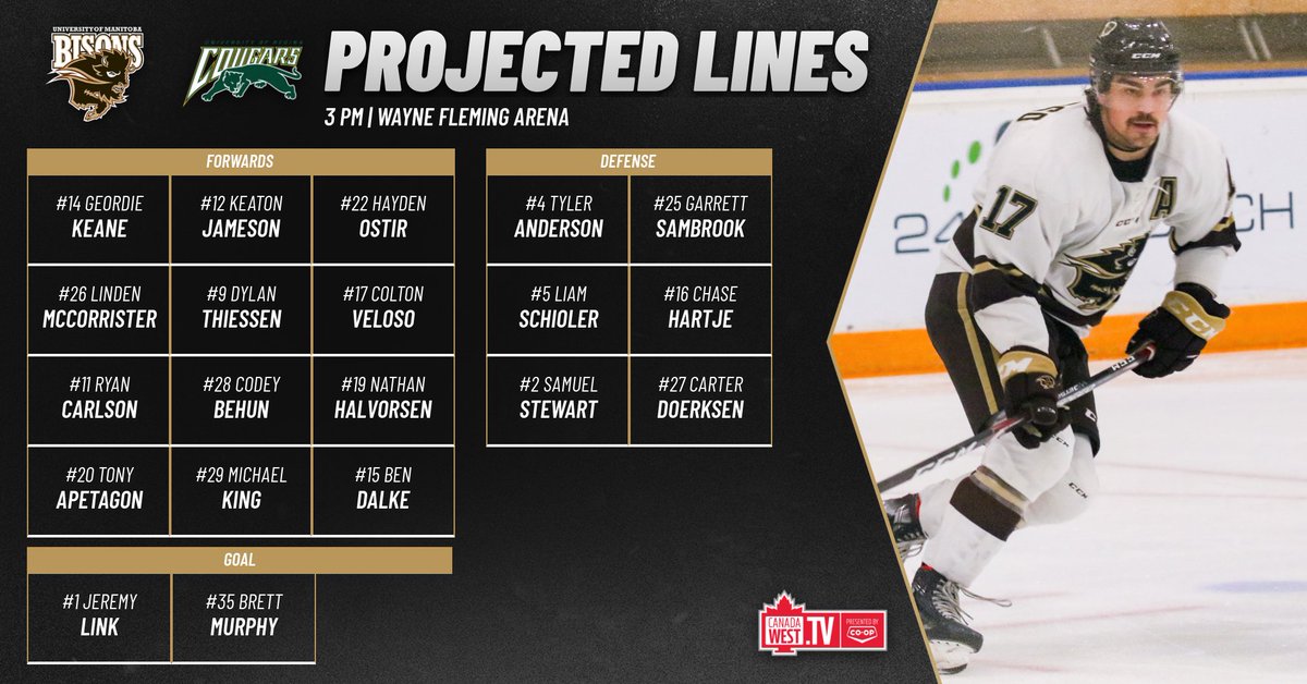 UM Bisons Men's Hockey tweet media